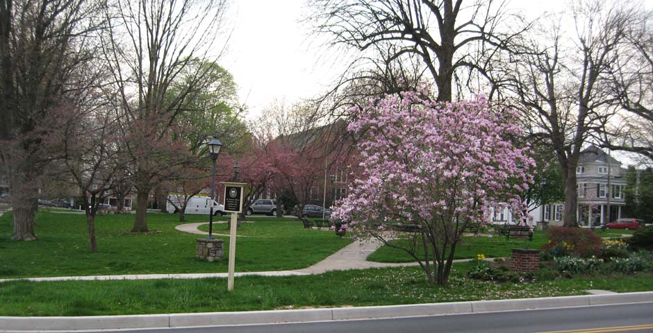 Belle Grove Square Park Belle Grove Square Park in the Spring